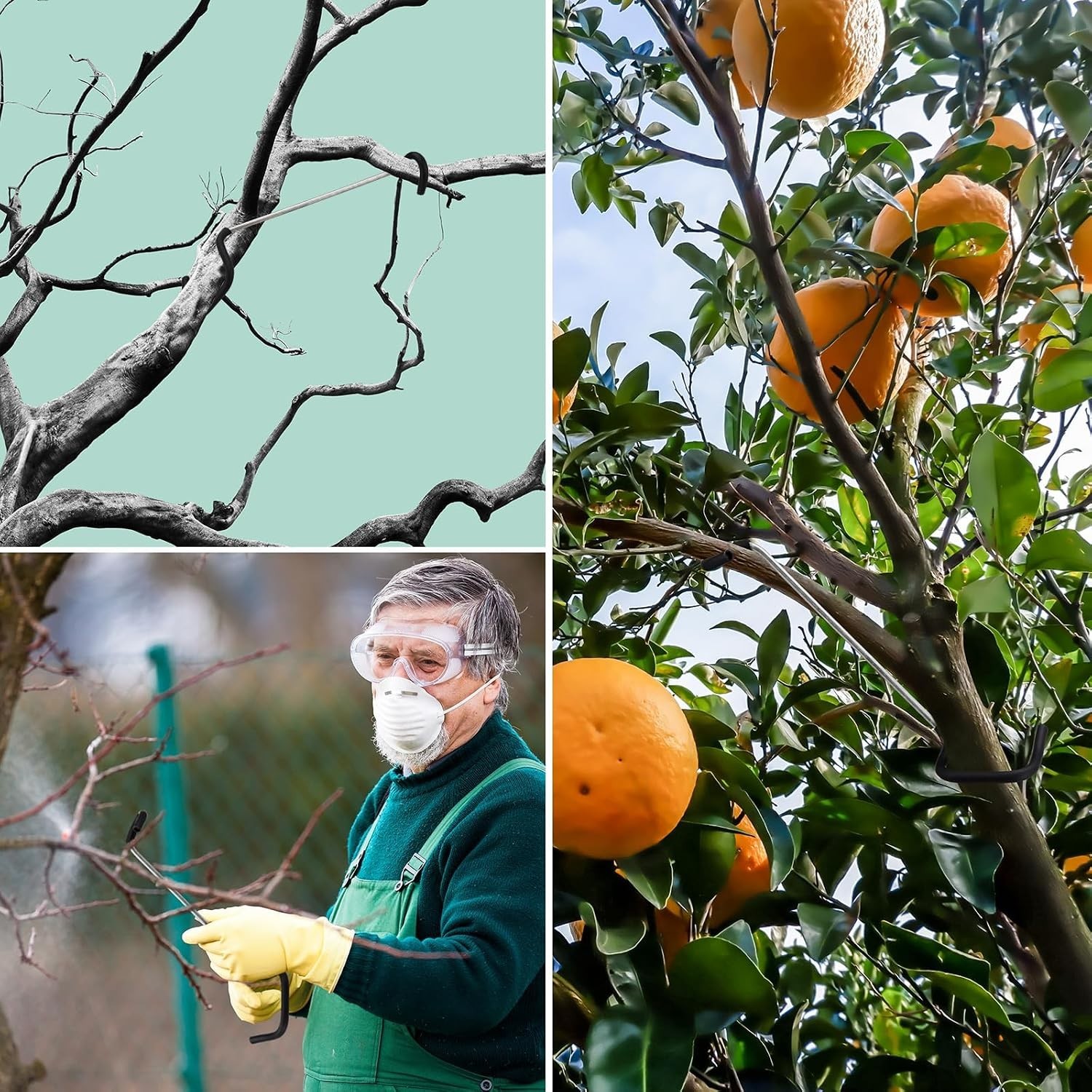 Reusable 7-Inch Branch Spreader for Fruit Trees - Easy Installation & Protection