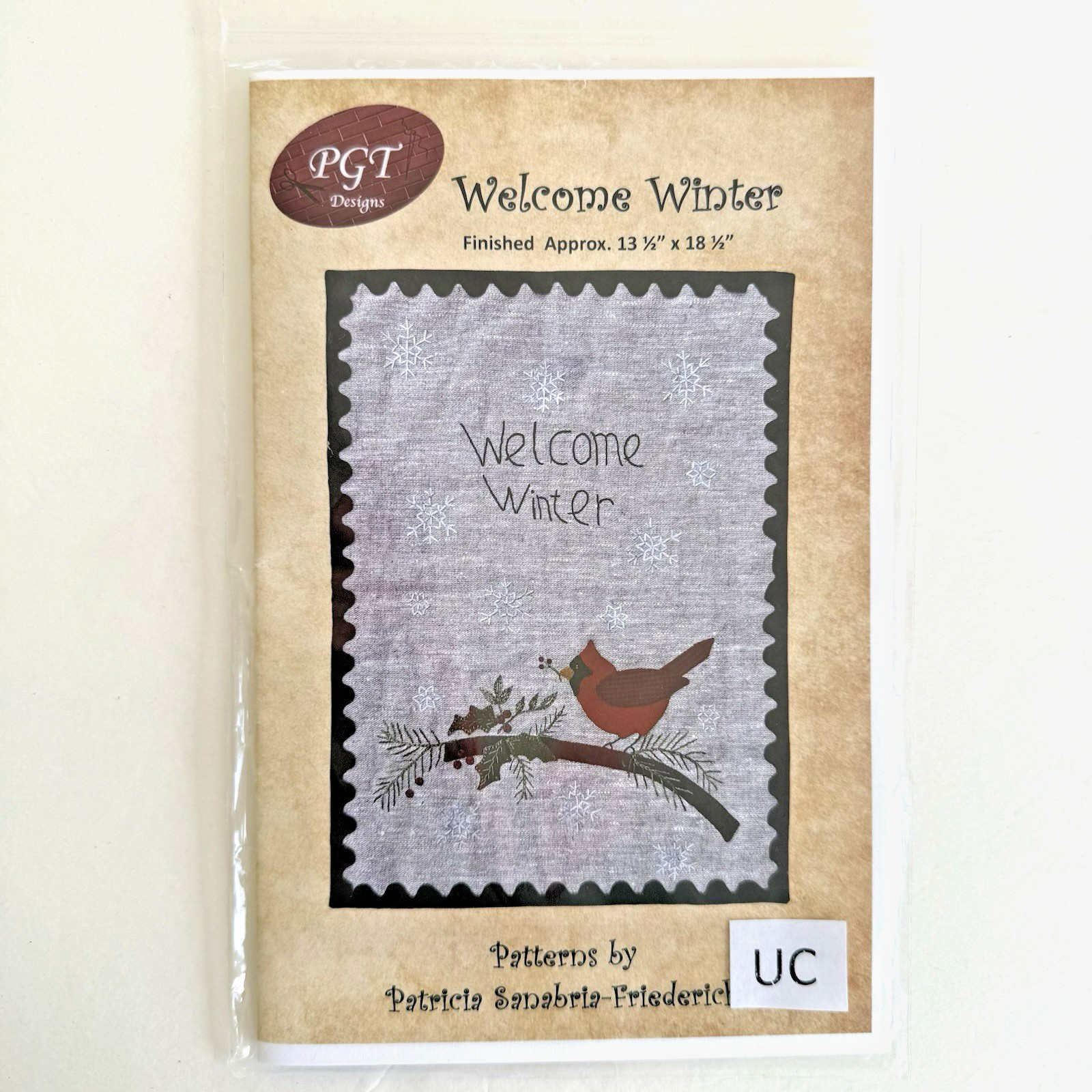 Welcome Winter Cardinal Wall Hanging Quilt Pattern PGT 120 S Friederich NEW