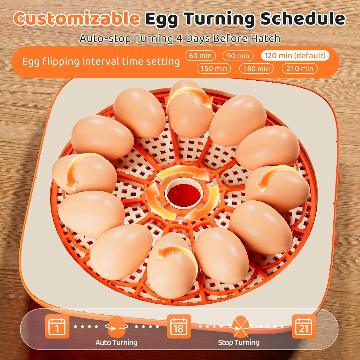 Incubators for Hatching Eggs 12 Egg Digital Egg Incubator Precision Auto Temp Hu