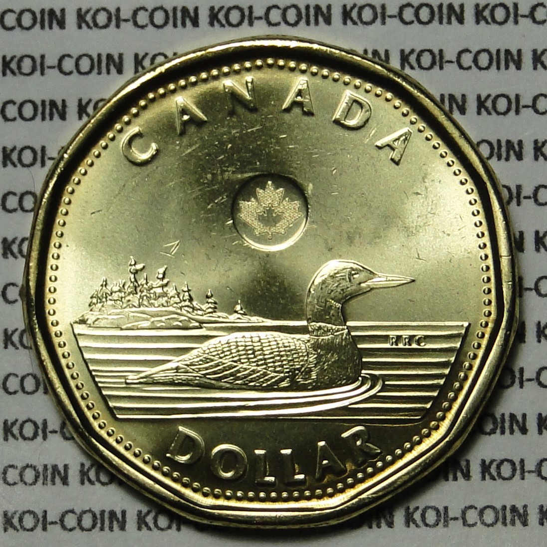 BU UNC Canada 2017 regular tranditional loonie $1 dollar coin from mint roll