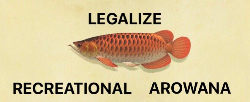 LegalizeArowana.com - Promote the legalization of Arowana Aquarium Fish