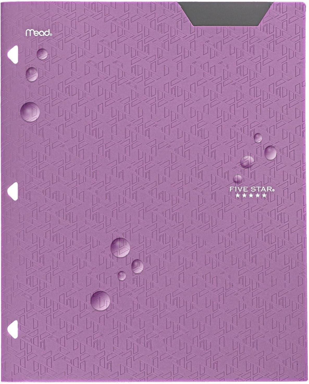 2-Pocket Folder, Plastic Folder with Stay-Put Tabs, Fits 3-Ring Binder, Holds...