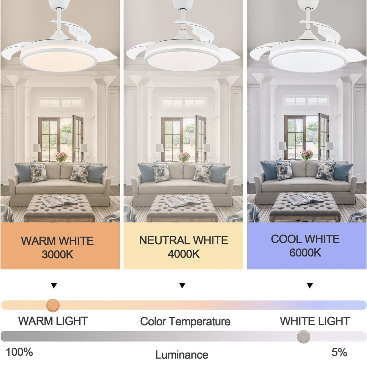 Curva Ceiling Fan