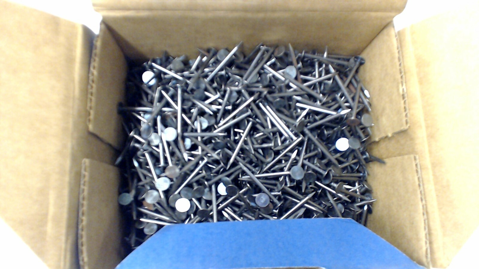 Do it nail pak 5lbs 1-1/4 plasterboard 750991