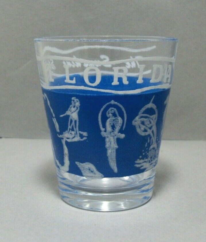 Florida USA The Sunshine State Souvenir Shotglass with Iconic Images