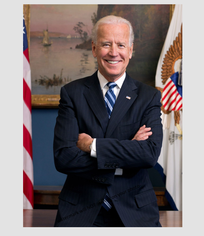 Joe Biden PHOTO Portrait President Candidate White House 5x7 Joseph Biden