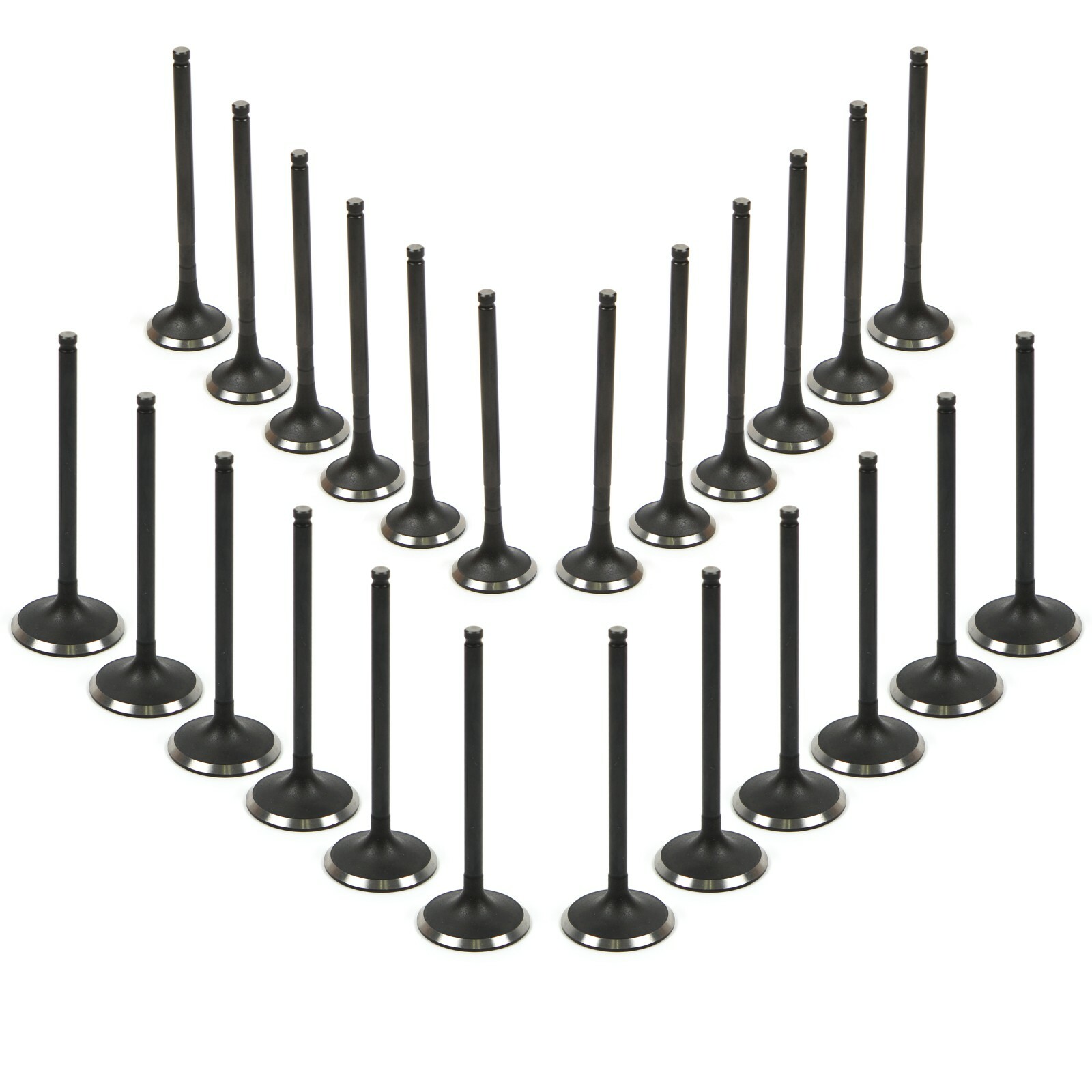 Intake Exhaust Valve Kit For Toyota Sienna Solara 1MZFE 3MZFE 1998-2008