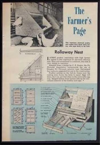 Chicken Hen Poultry Nest Egg Plant How-To build PLANS Plywood
