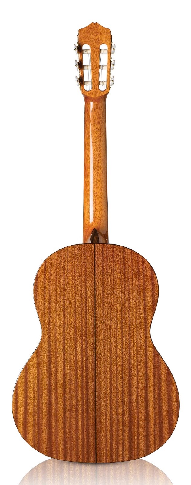 Cordoba C5 Dolce - ⅞ Size Solid Cedar Top Guitar