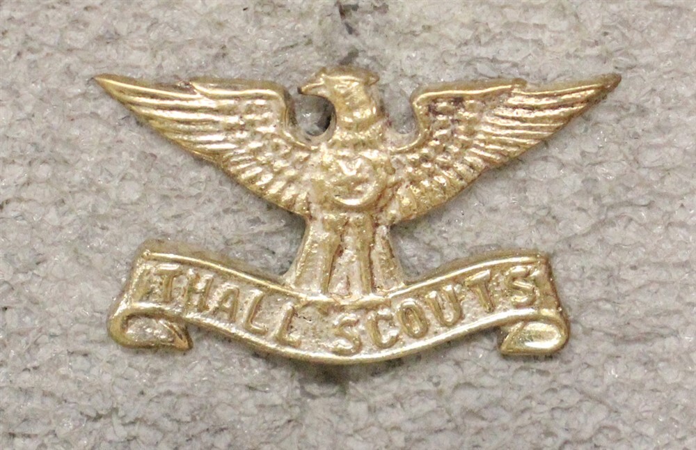 Pakistan Army: Thall Scouts - metal badge 1574