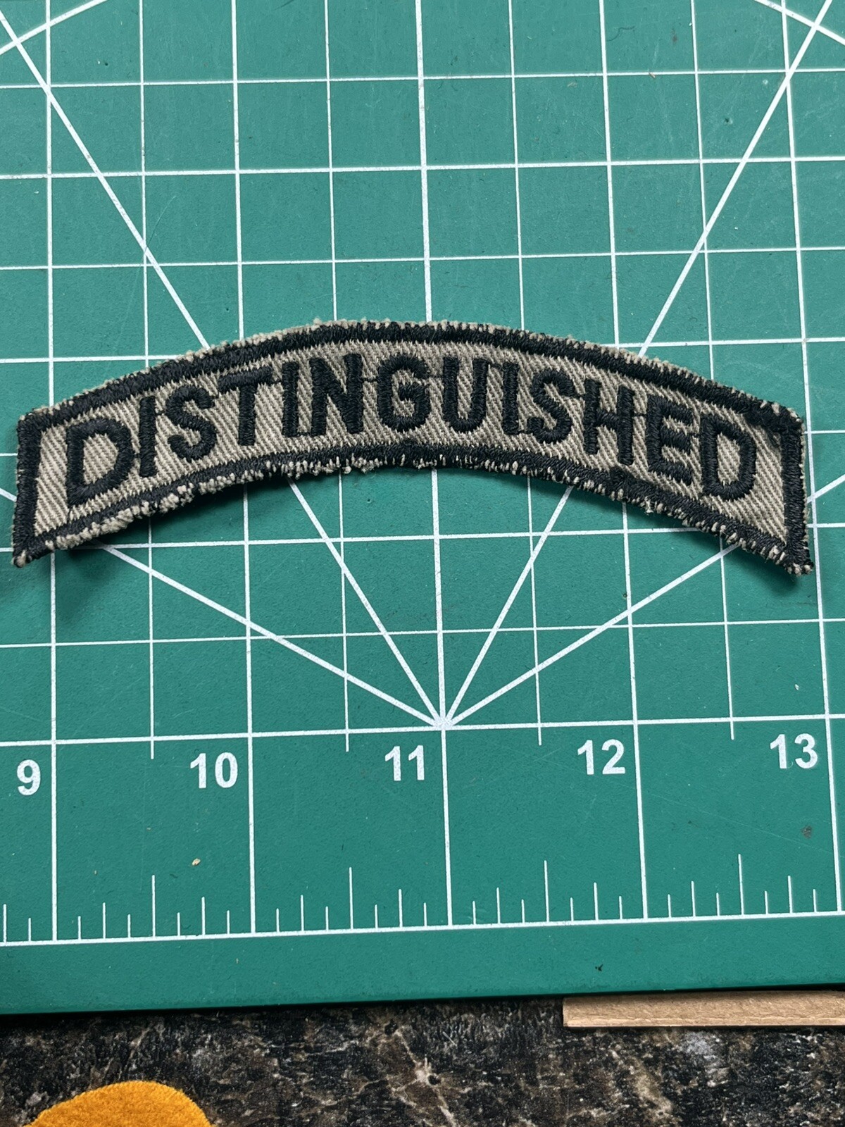 Vietnam Era Subdued "Distinguished" Patch Tab Rocker