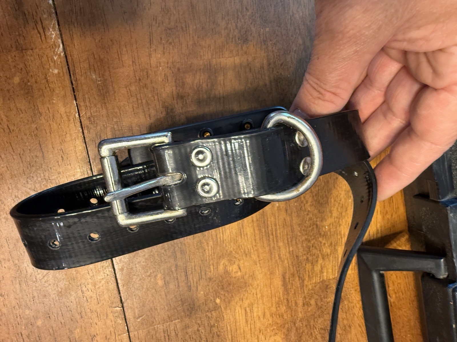 Tri-Tronics 100 LR II Professional Hunting Dog Collar Trainer System UNTESTED