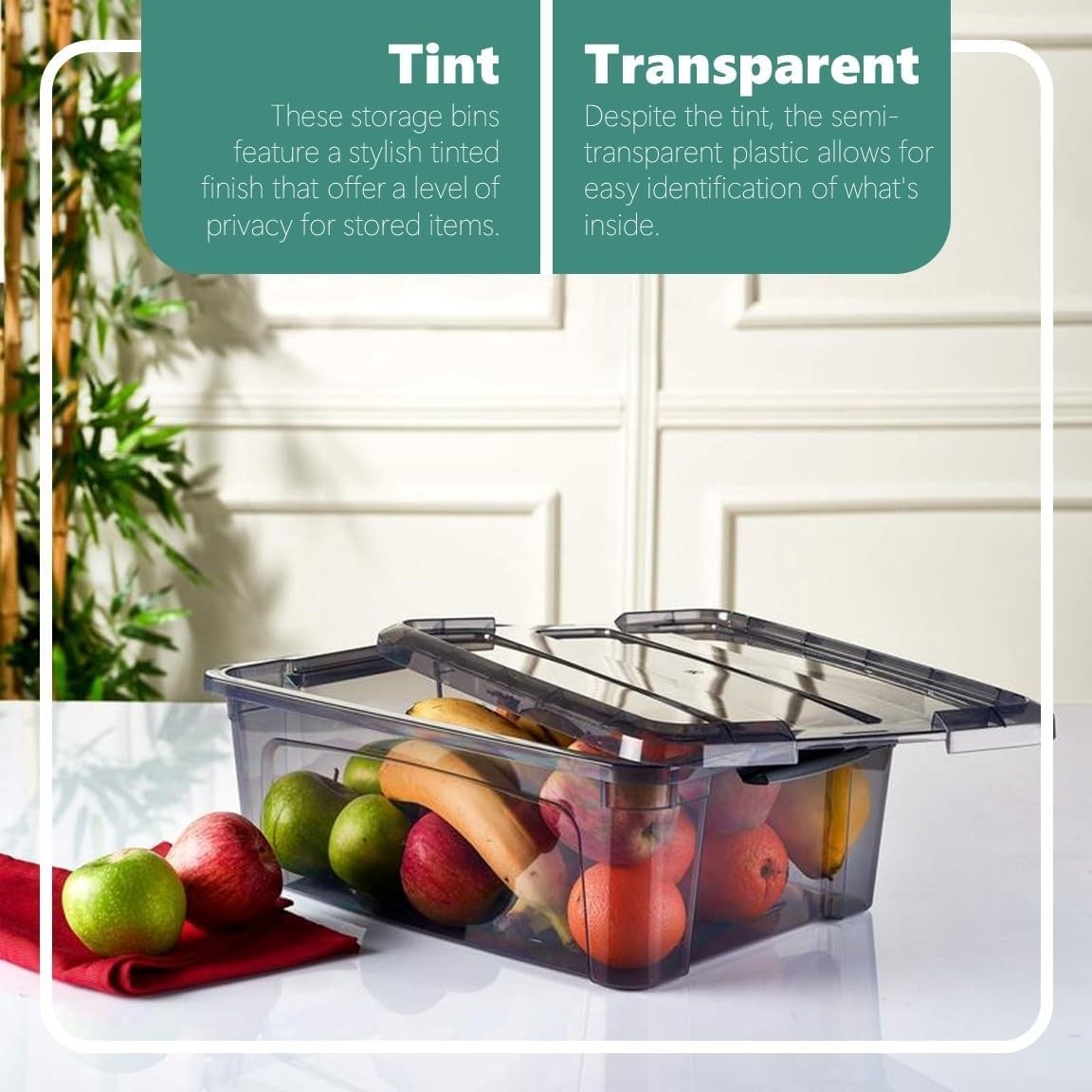 Transparent Tinted Plastic Storage Containers with Latching Lids - 15.5'' x 12''