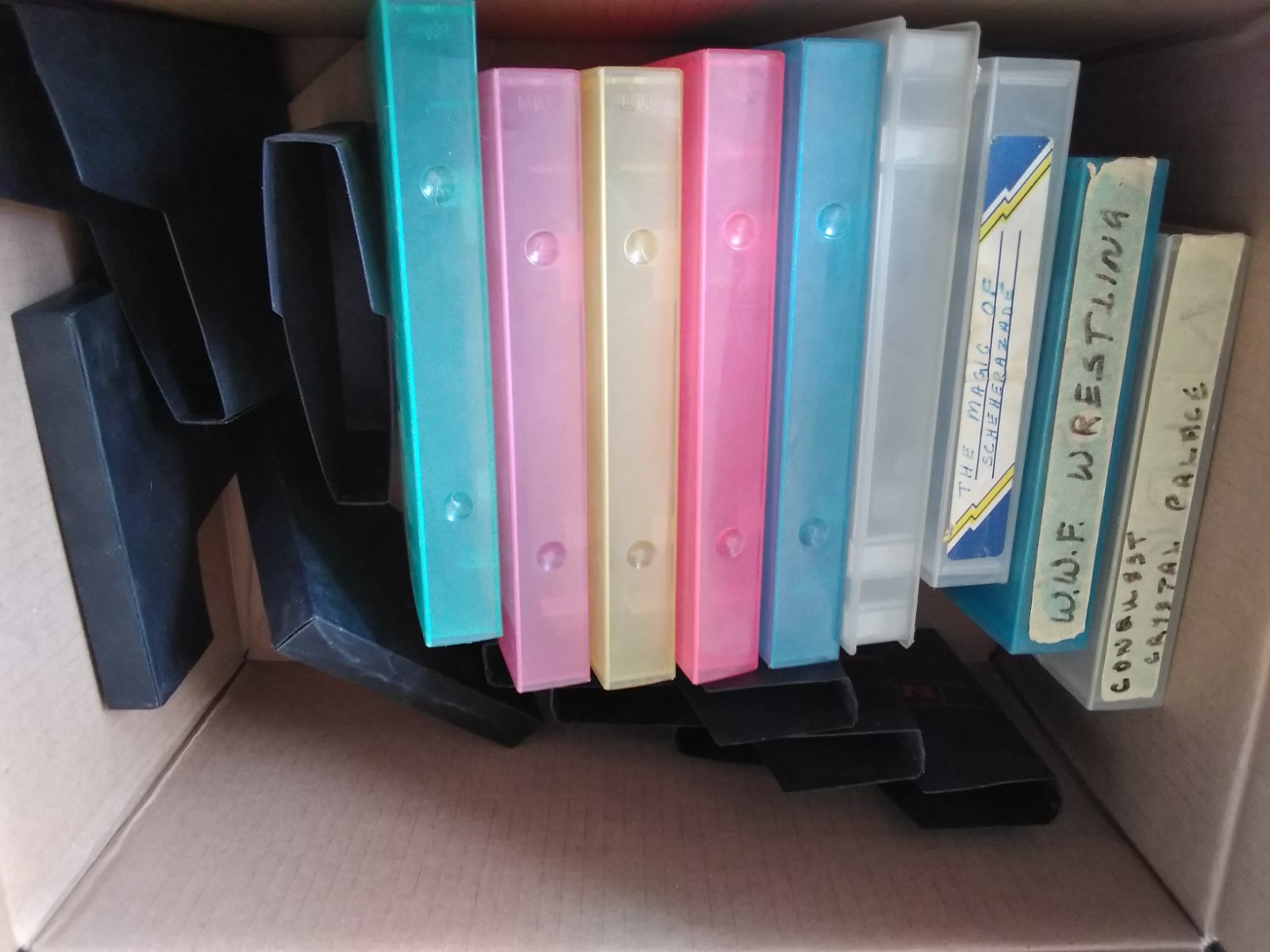 VIDEO GAME CASES 15 PLUS AND 1 GAME