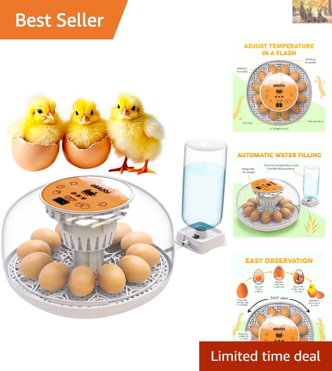 Okkobi M12 Automatic Egg Incubator with Humidity Control - 12/24 Eggs Capacity