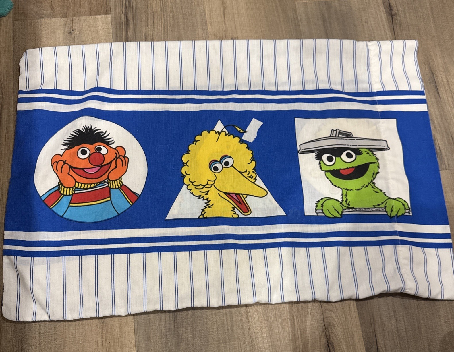 Vintage Sesame Street Pillow Case Big Bird Cookie Monster Burt Ernie Oscar