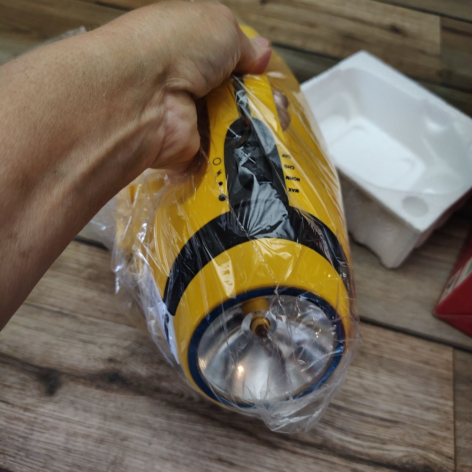 Self-Powered Lantern Light Or Electric Plug Dual-Brightness Supernova Bulb