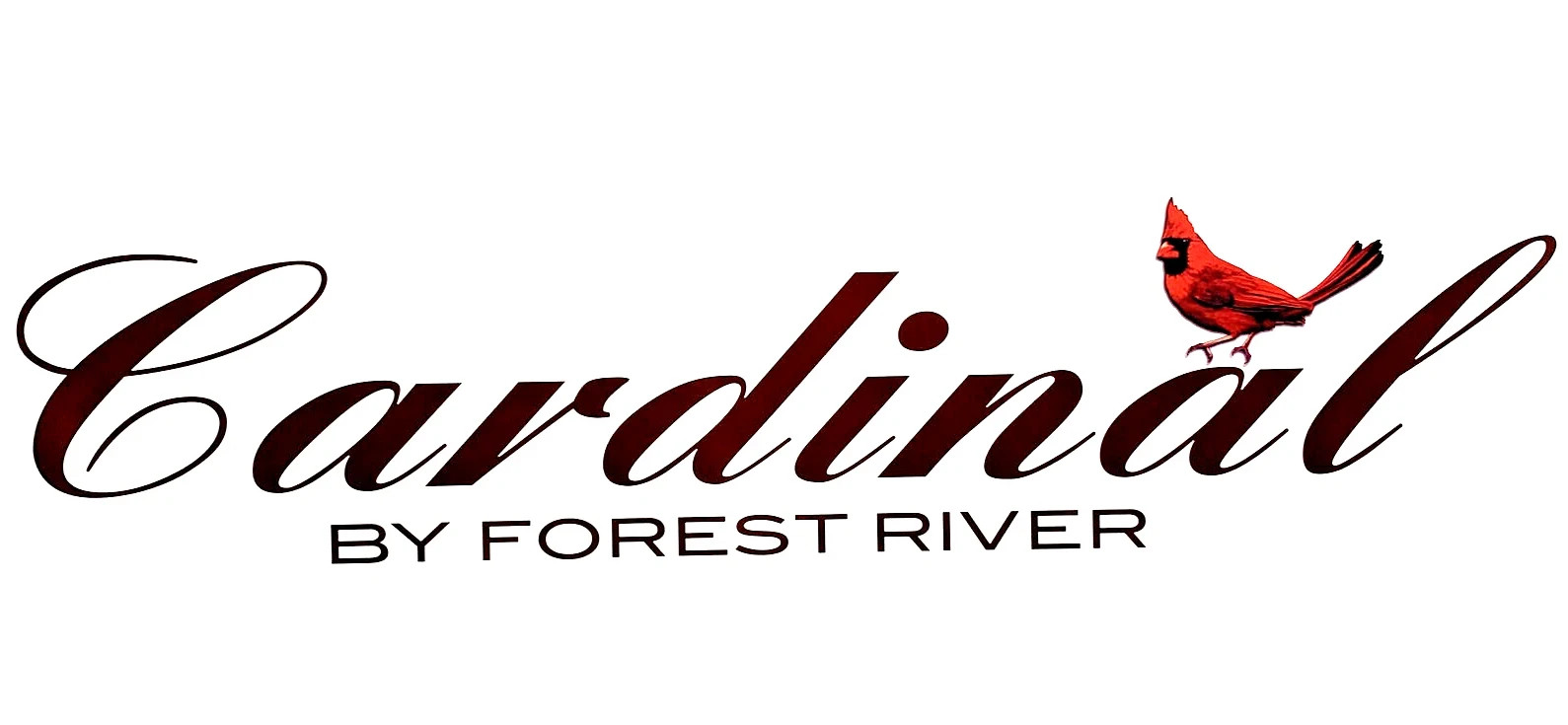Cardinal by Forest River RV decal sticker graphic Name Word Logo Side Rear Sm