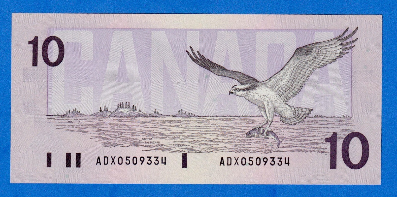 CANADA $10 1989 BC-57aA / P-96a aUNC Note " Bird Series " ADX0509334