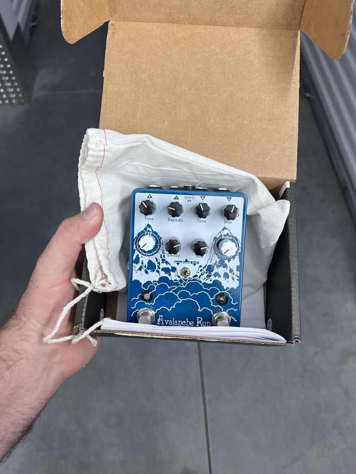 Earthquaker Devices Avalanche Run