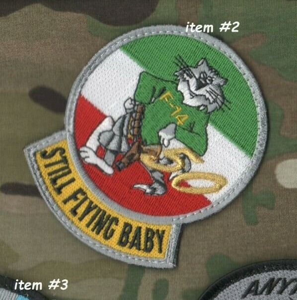 IRAN AIR FORCE IRIAF F-14 TOMCAT FIGHTER 1970-2020 STILL FLYING velkrö INSIGNIA