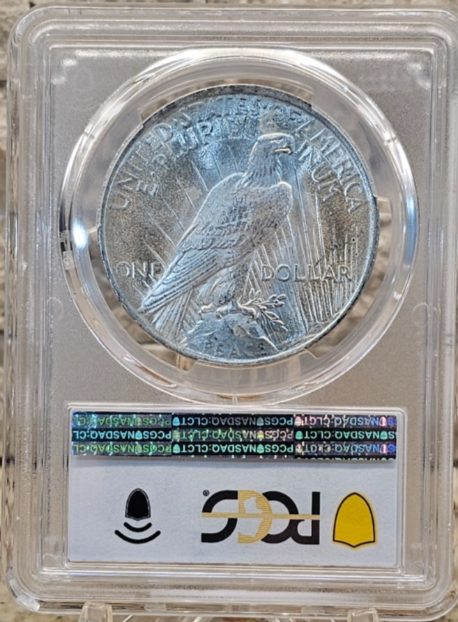 1923 PCGS MS63 | $1 Peace Dollar | Gourgeous | Silver Dollar