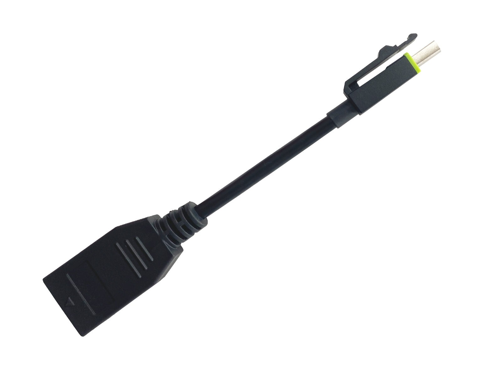 PNY Mini Male to Standard Female DisplayPort Adapter Cable (91008582V3)