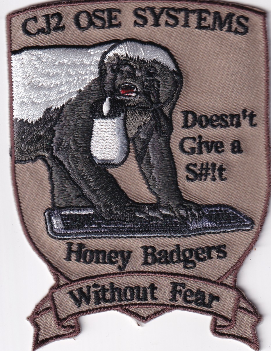 Combined Joint Intelligence CJ2 Operational and Security Element (OSE) patch Hon