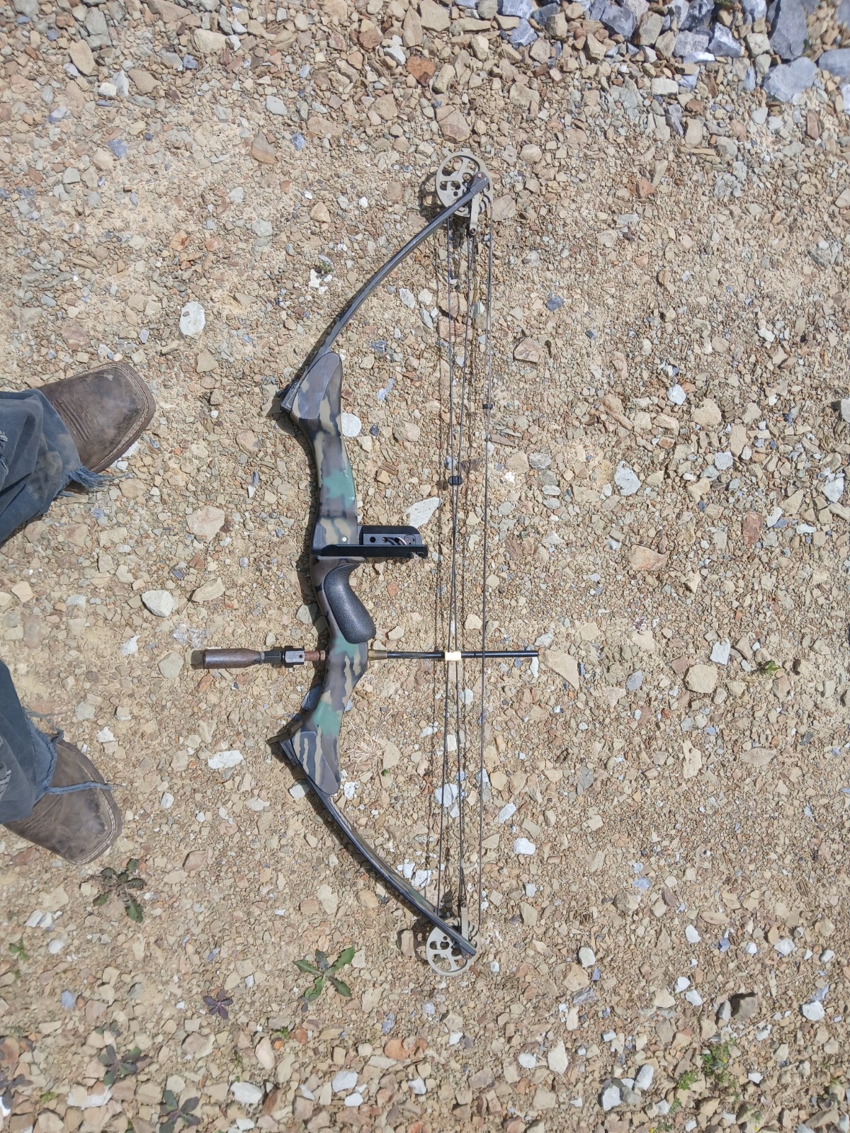Carroll Intruder 3D  Compound Bow