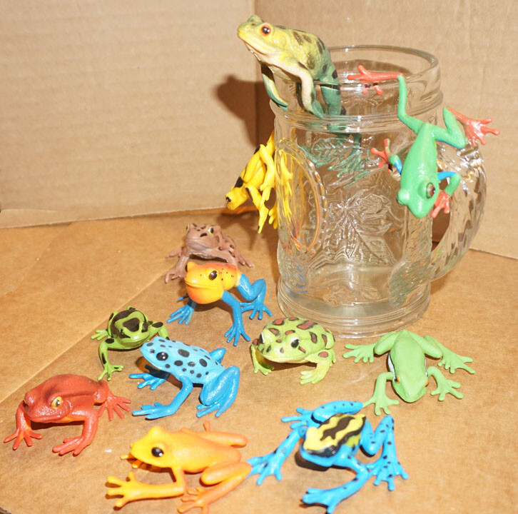 Frog Assortment (12) - PVC