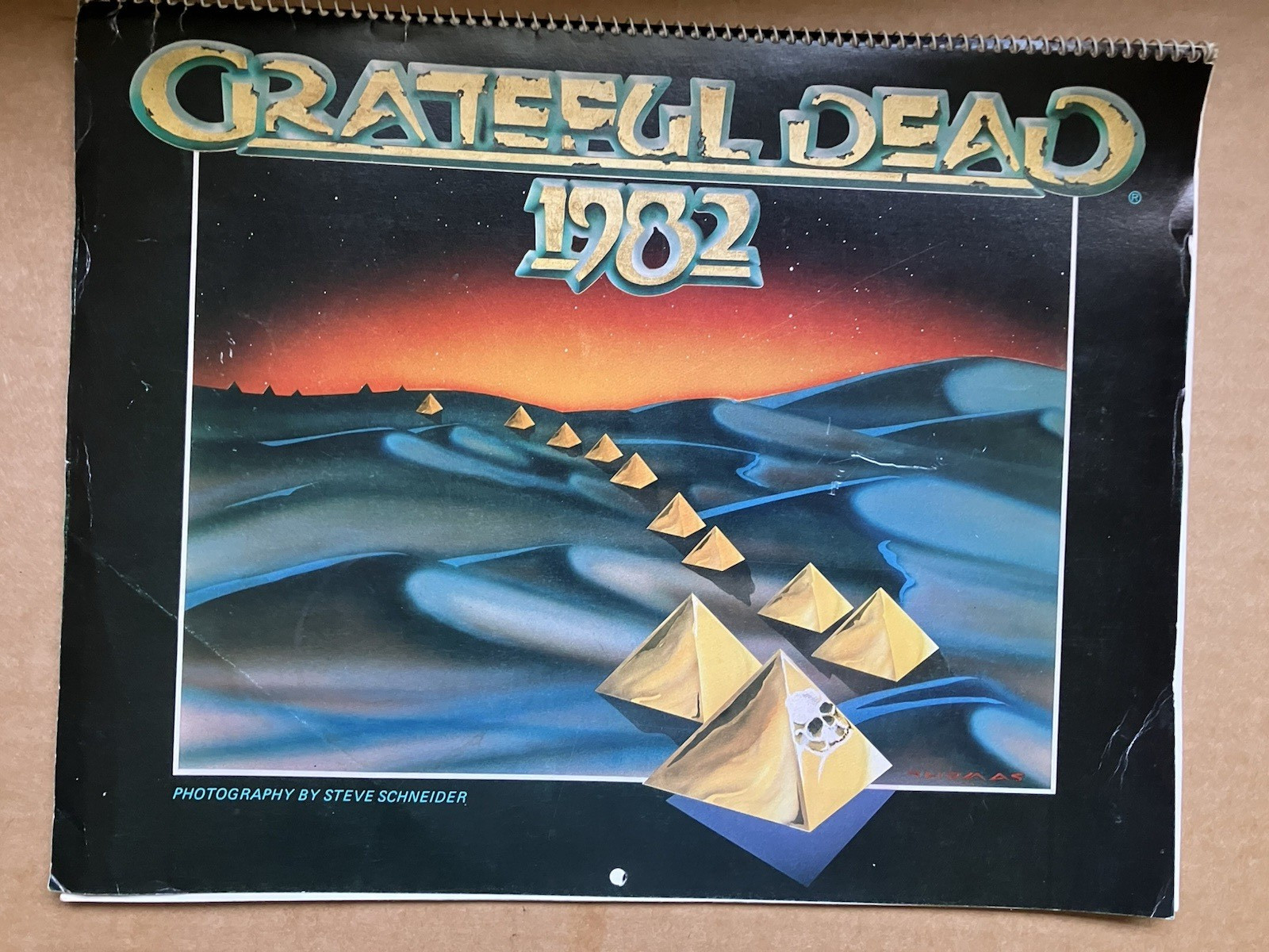 Grateful Dead 1982 Wall Calendar 14"x11"  Spiral Bound by Steve Schneider