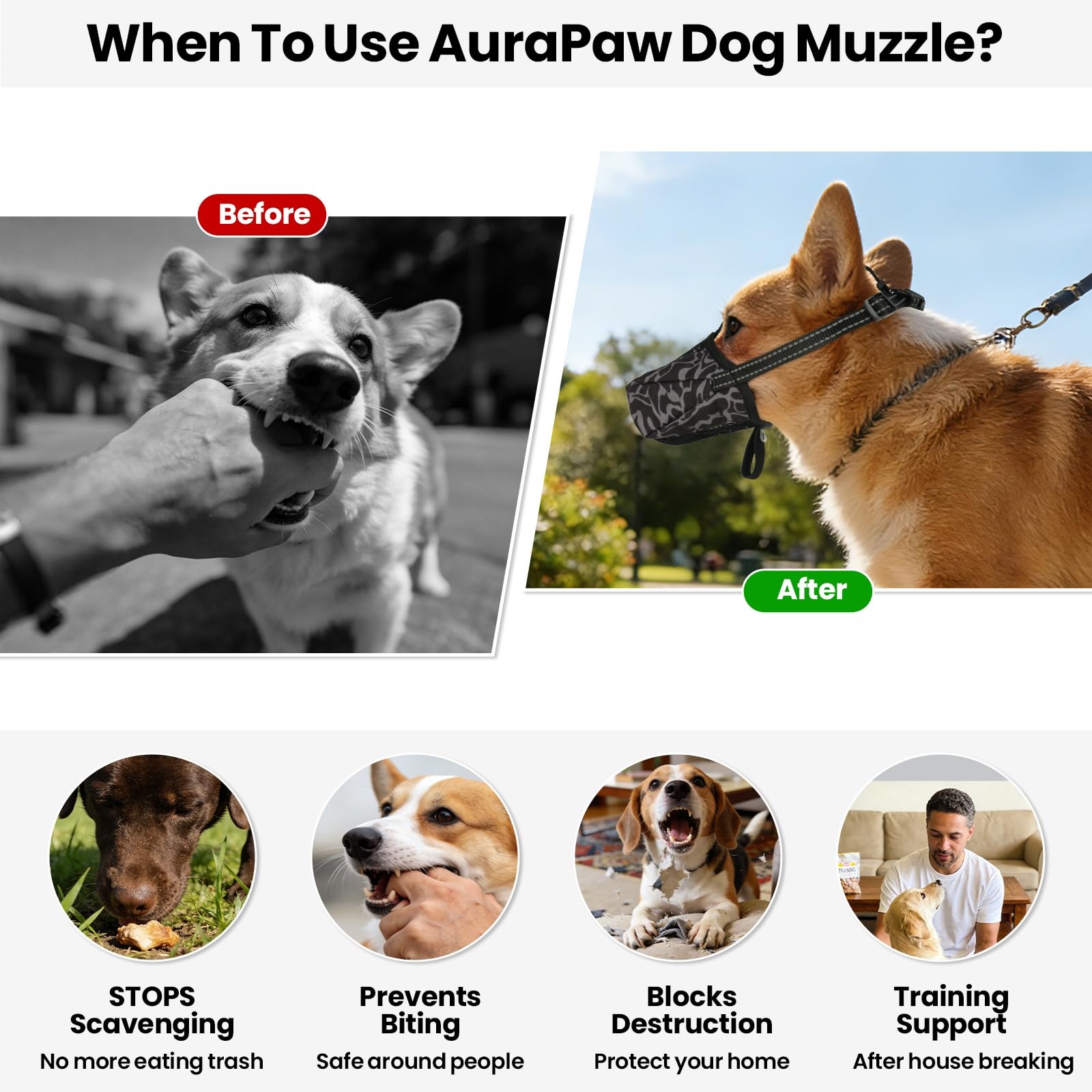 AuraPaw Reflective and Adjustable Mesh Muzzles for Border Collie, Samoyed | A...