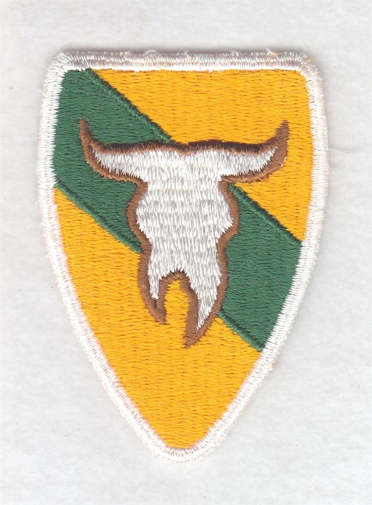 Army Patch: 163rd Armored Cavalry Regiment - cut edge