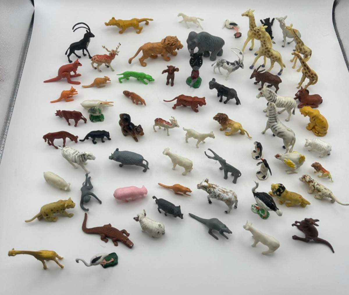 Lot of 60 Plastic Zoo Farm Animal Figures Safari Wild Montessori Classroom Set
