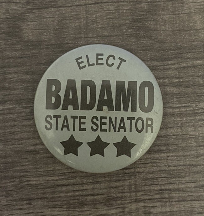 Elect Badamo  US State Senator Political Campaign Election . Pinback Button