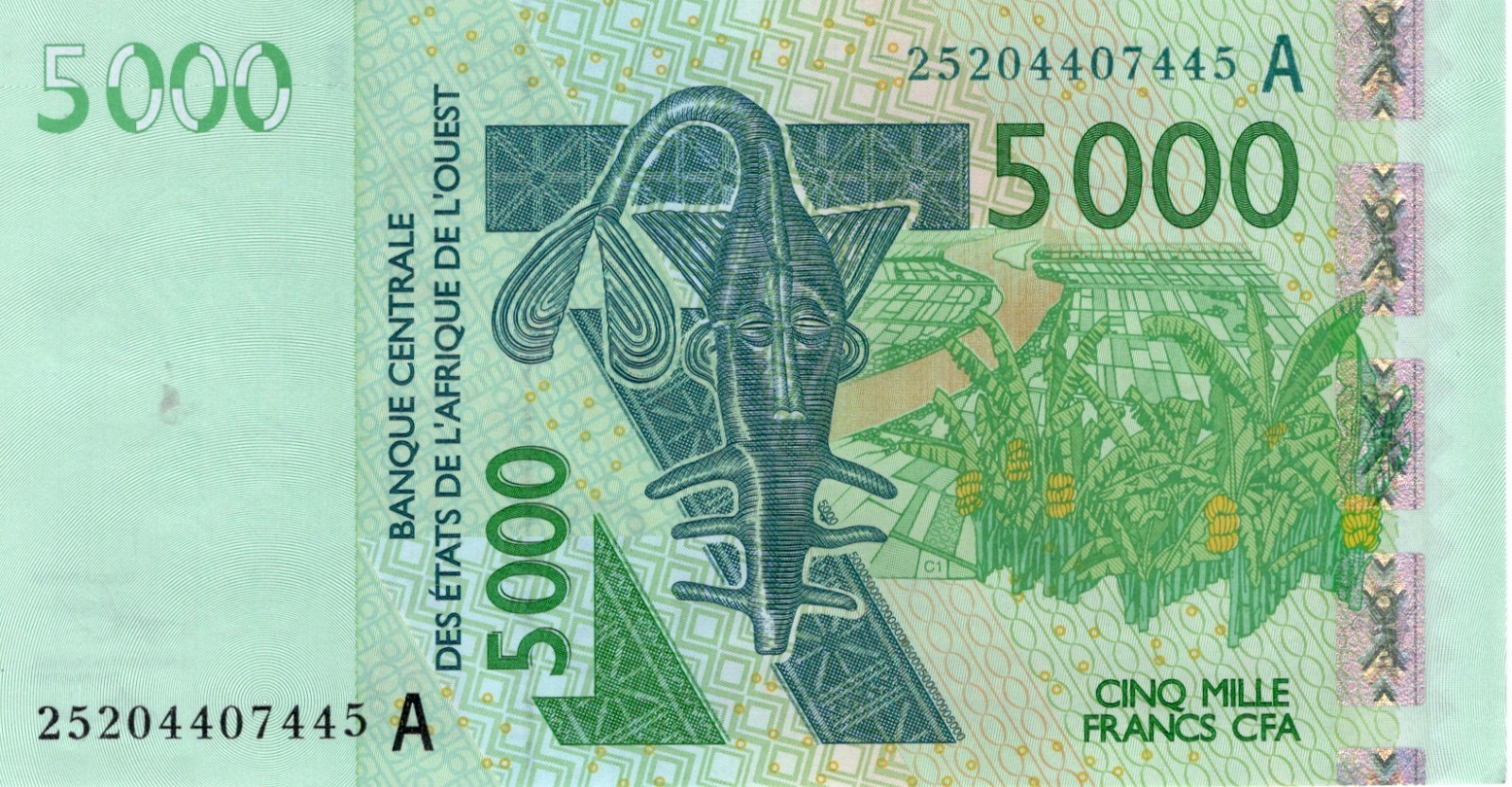 WEST AFRICAN STATES 5000 FRANCS COTE IVOIRE 2025 P 117. UNC. 5RW 07NOV