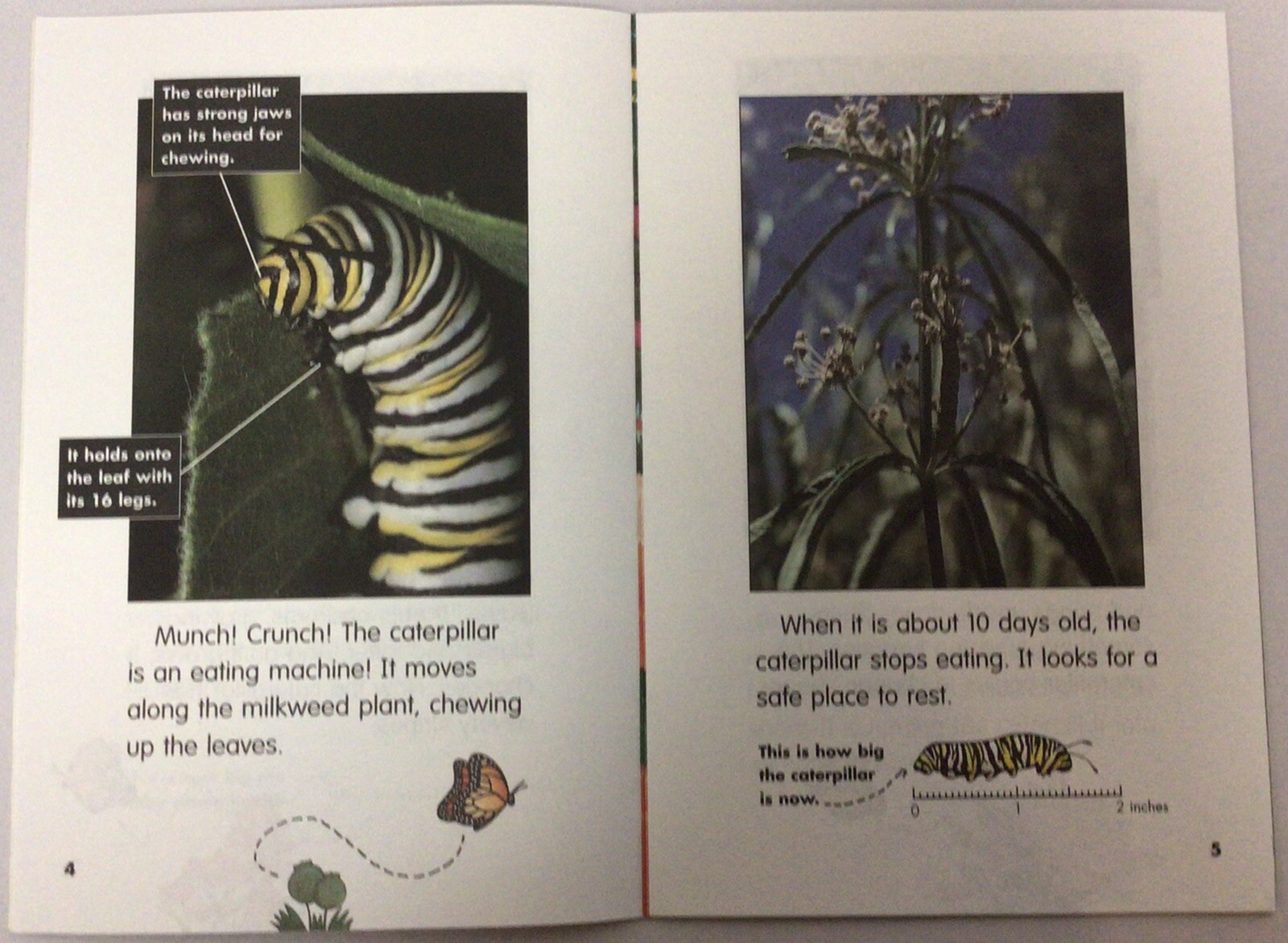 Scholastic Book - I Can Read Science Library - Set of 9 - SSL3