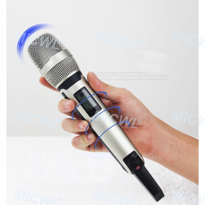 Pro UR24D Digital Wireless Microphone 2 SKM9000 Mic DJ Karaoke UHF System