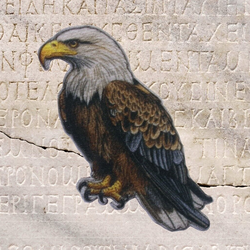 Eagle - Bird - American Eagle - Patriotic - Iron On Applique Patch Decorative