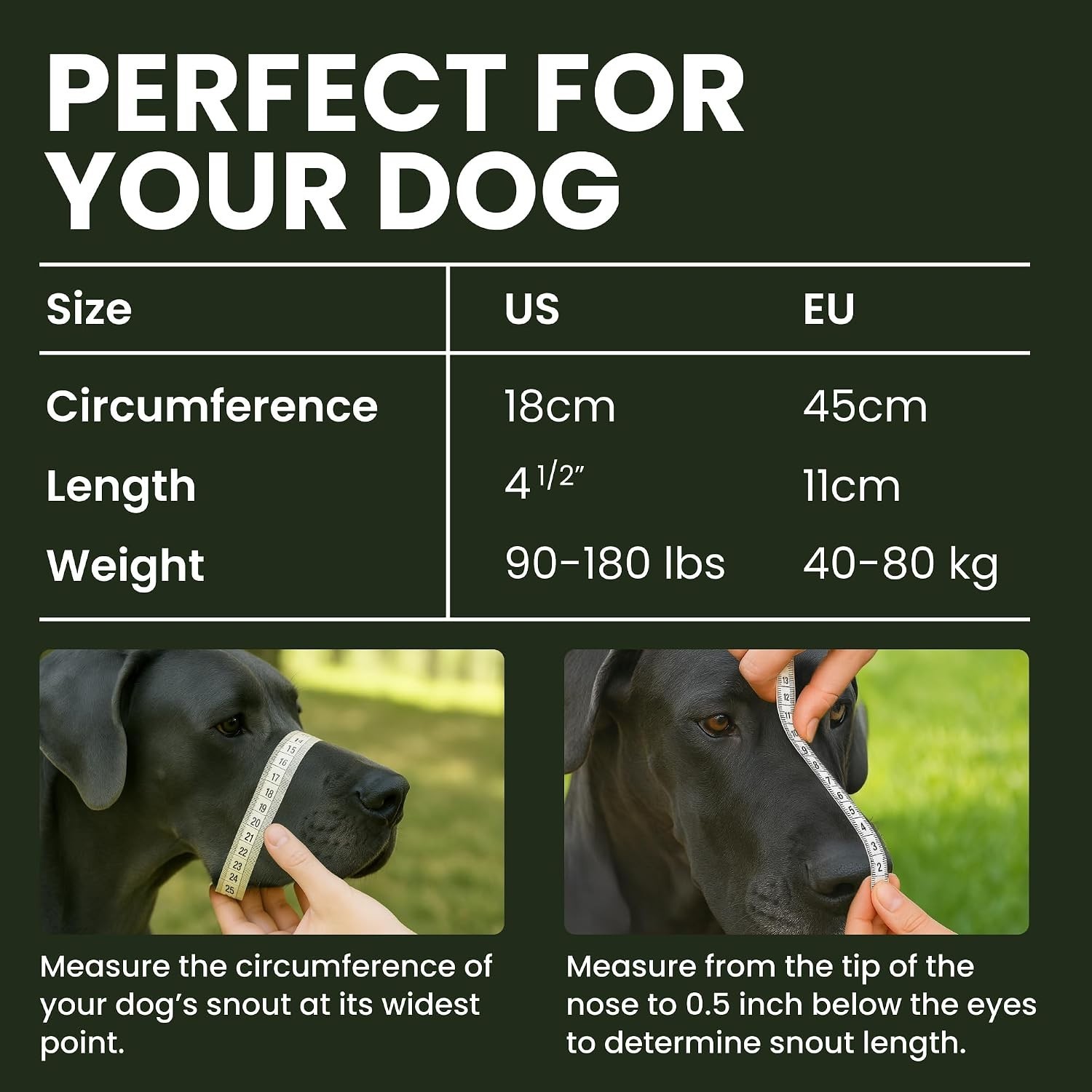 Training-Friendly Large Dog Muzzle with Cushioned Padding - Safe and Effective
