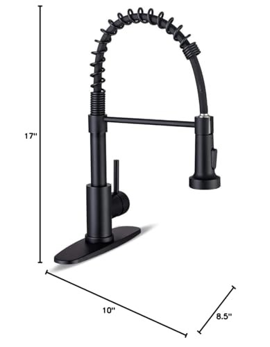 Kitchen Faucets with Pull Down Sprayer Commercial 17 inch Height, Matte Black