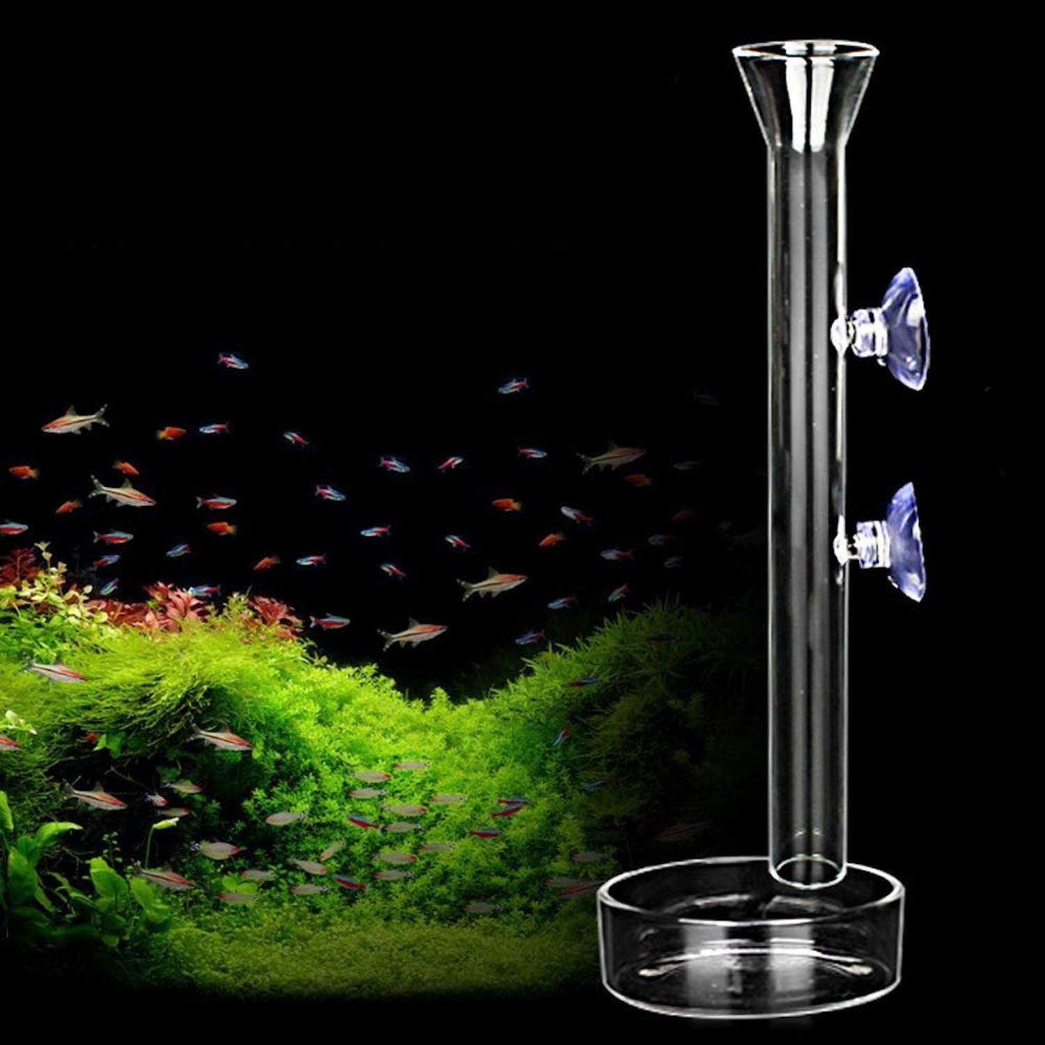 Shrimp Feeding Tube and Dish,Clear Crystal Glass Shrimp Feeder Tube Tray for ...