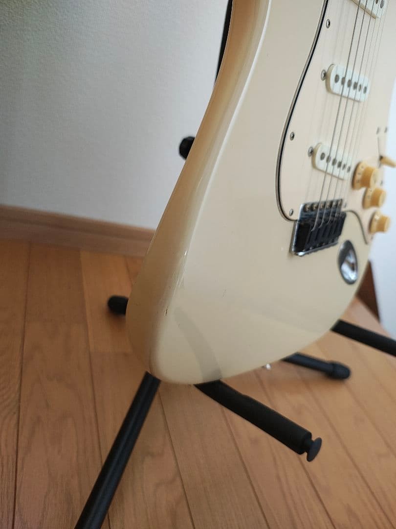 Fujigen J-Standard Safe delivery from Japan