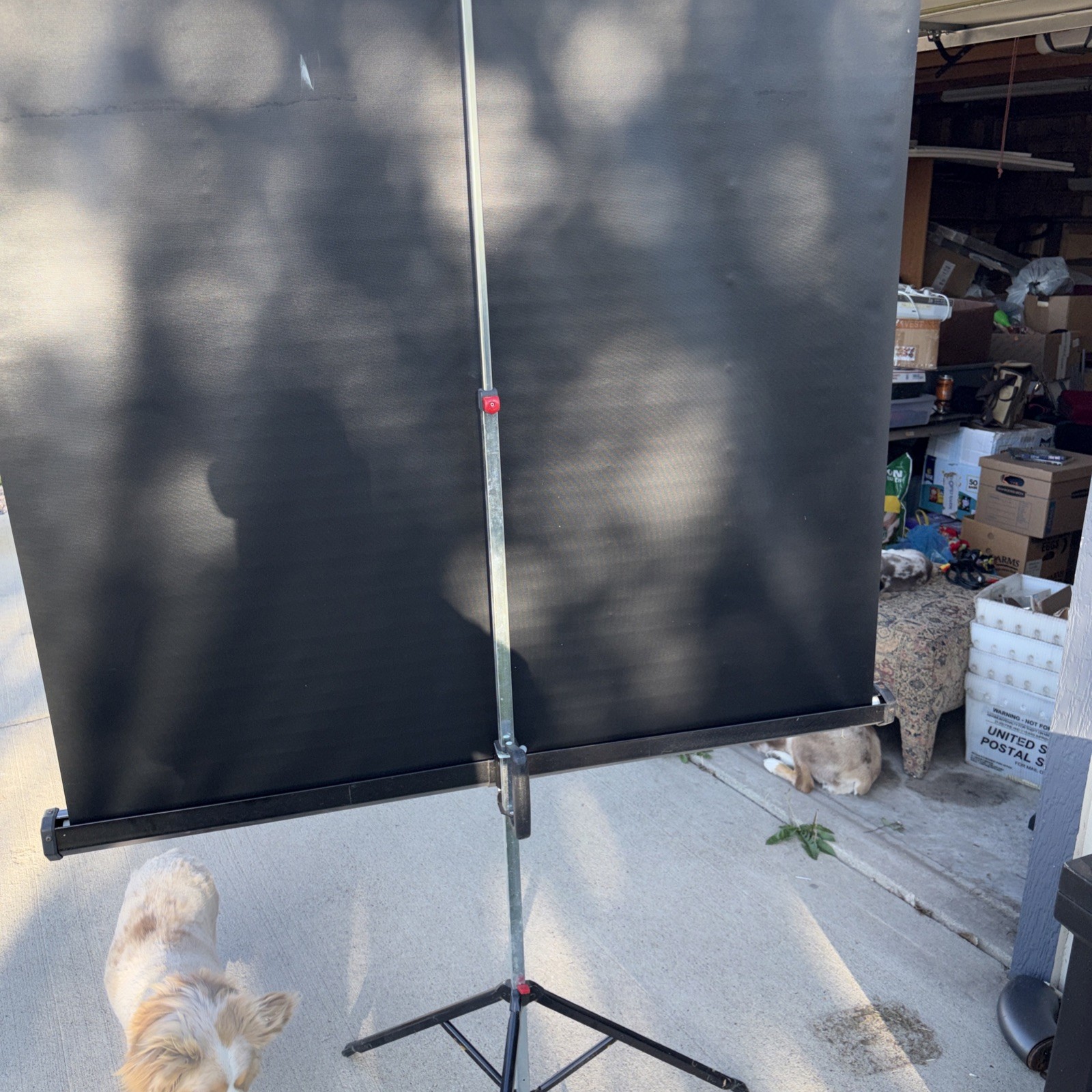 Apollo Portable Tripod Projection Screen 60" x 60" High-Resolution