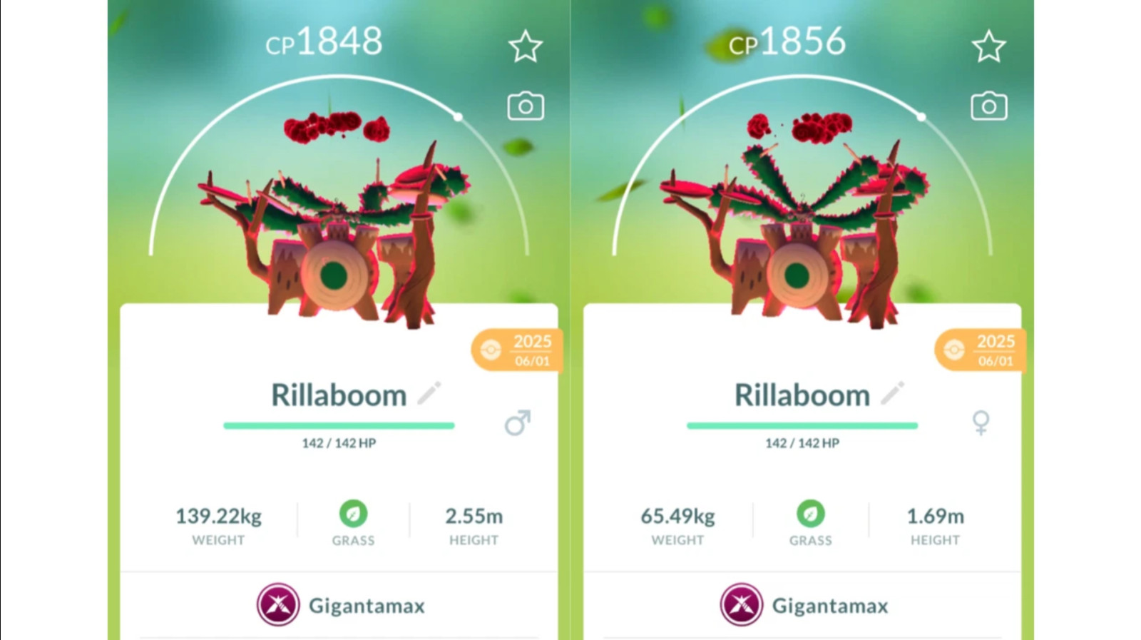 🍃Non Shiny Gigantamax Rillaboom (Gigadynamax Gortrom) Pokemon GO🍃 Exchange/PTC