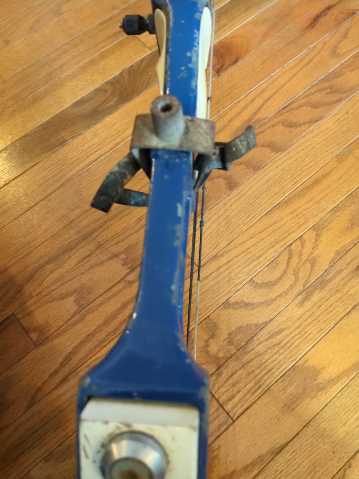 hoyt Easton contender compound bow