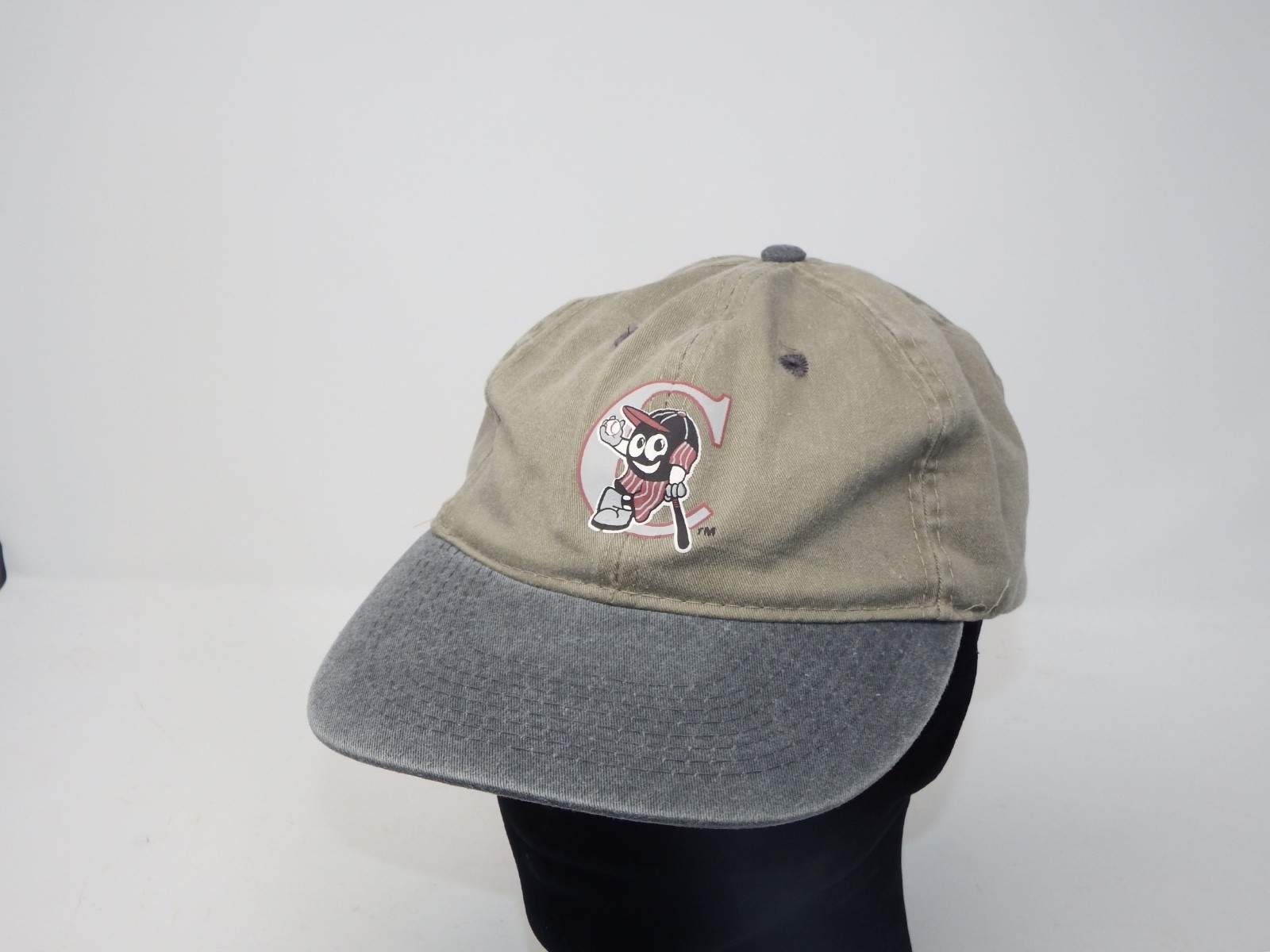 POTOMAC CANNONS (NO LONGER) MINOR LEAGUE BASEBALL Four Seasons HAT ADJUSABLE