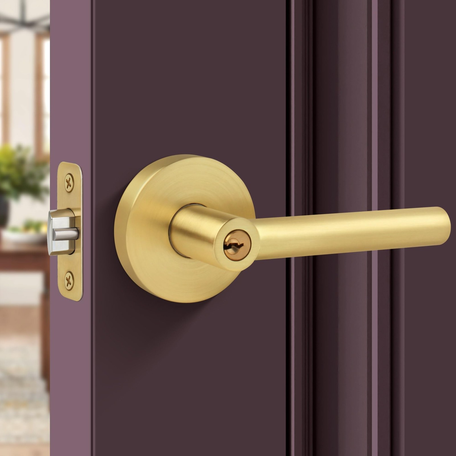Entry Door Lock with Keys,Brushed Gold Door Handles, Heavy Duty Door Lever, R...