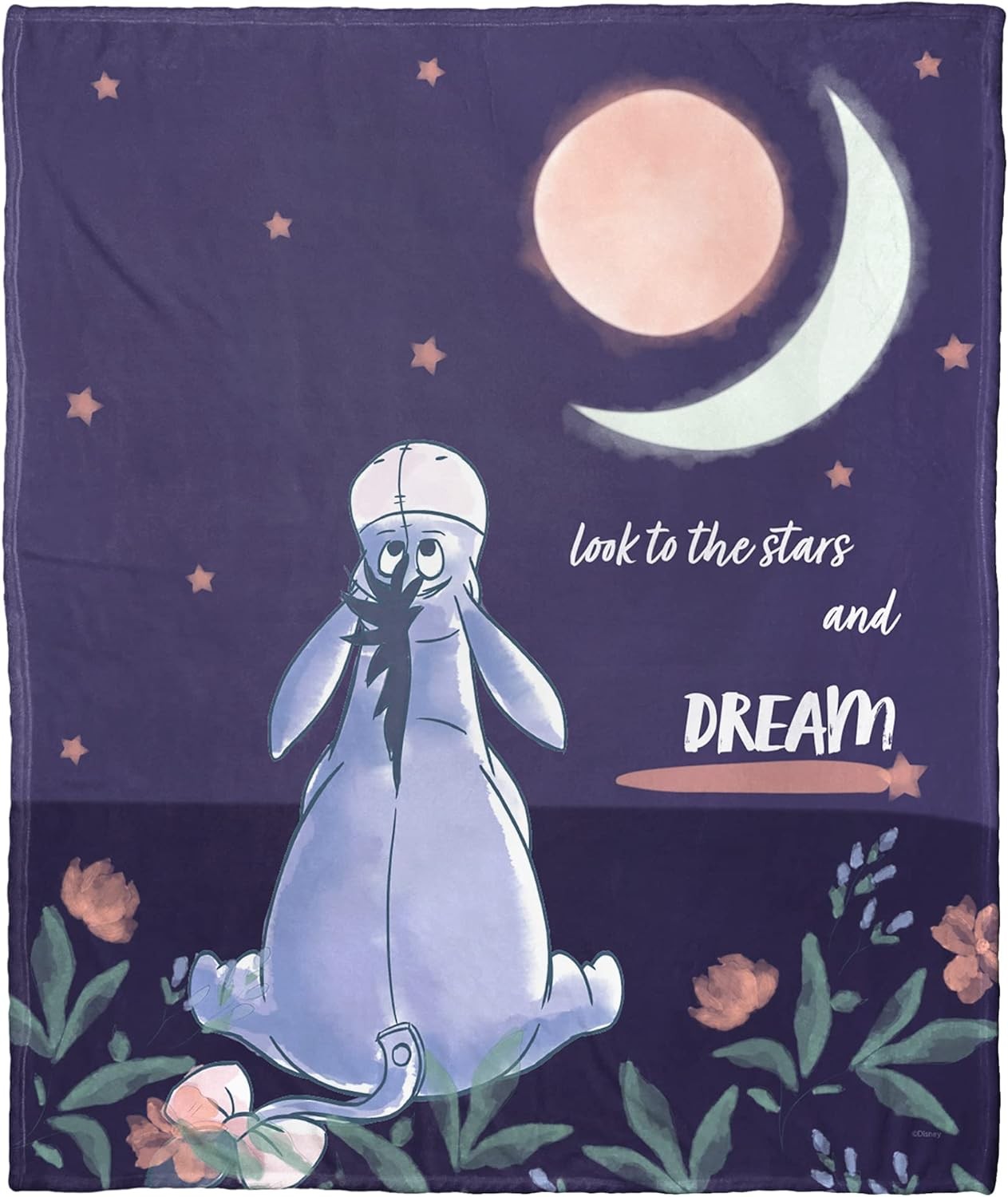 Star Gazer Eeyore Winnie The Pooh DisneyFriends Fleece Blanket