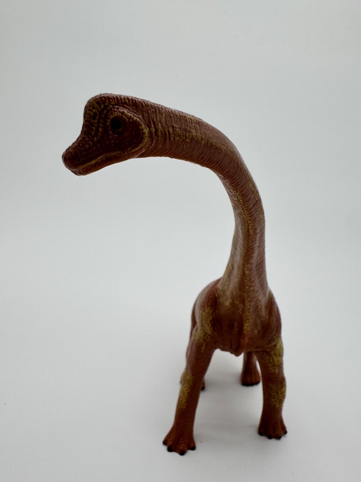 Brontosaurus Aquarium Decor